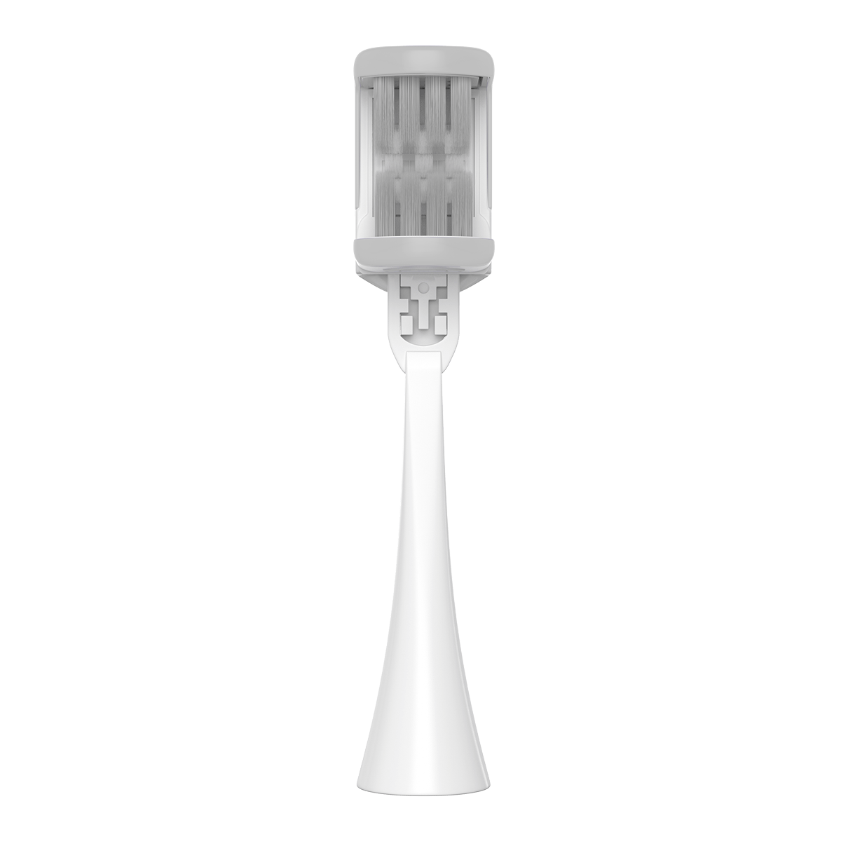 Heisr All-in-one 2-Pack Brush Heads