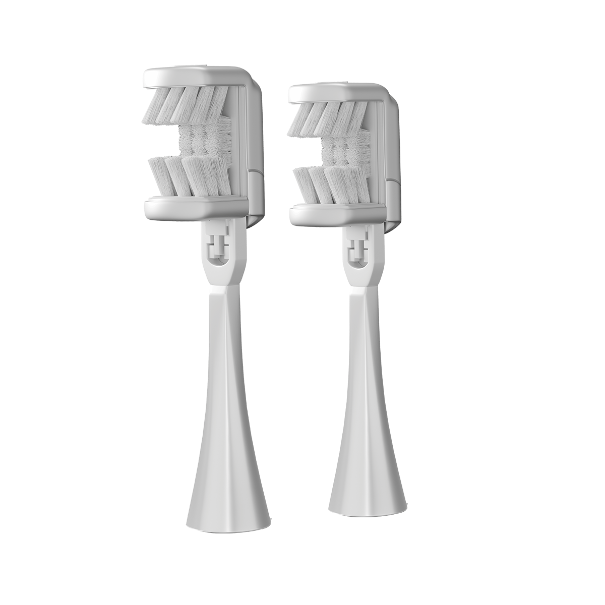 Heisr All-in-one 2-Pack Brush Heads