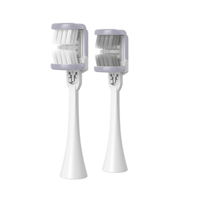 Heisr Brush Head Refill Pack