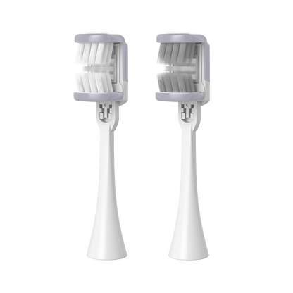 Heisr Brush Head Refill Pack