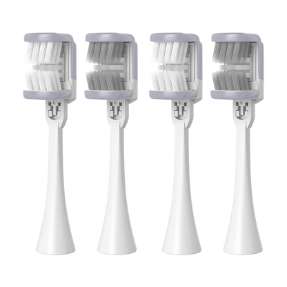 Heisr Brush Head Refill Pack