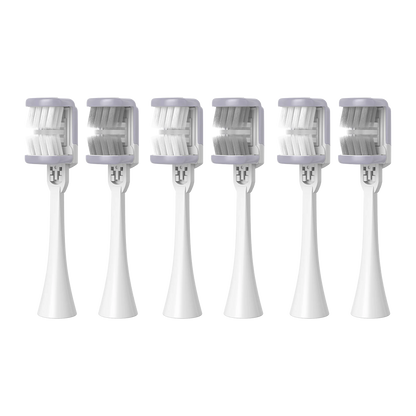 Heisr Brush Head Refill Pack