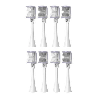 Heisr Brush Head Refill Pack